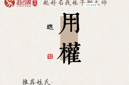 权是什么意思