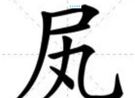 尸组词_尸字组词