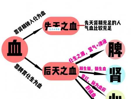 血是什么意思