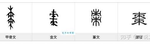 枣组词_枣字组词