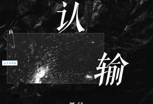 输是什么意思