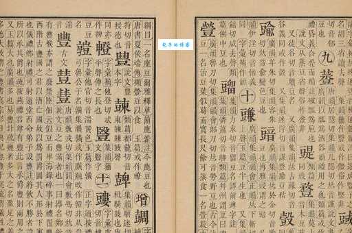 竖是什么意思
