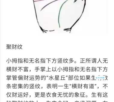竖是什么意思