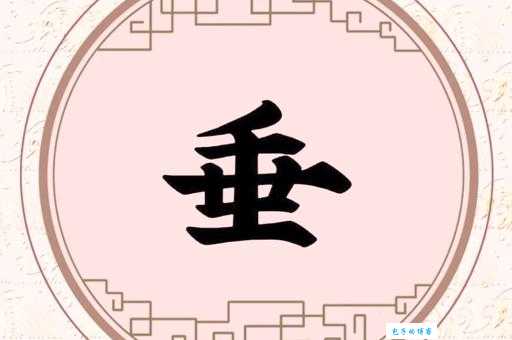 垂是什么意思