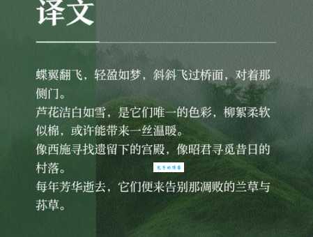 汉字“蝶”的读音、意思、用法、释义、造句