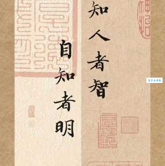 智是什么意思