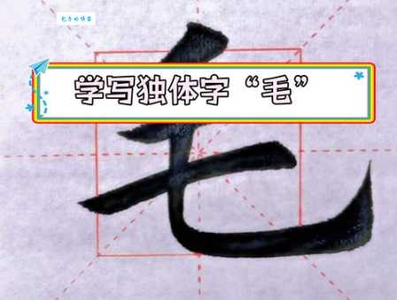 毛组词 解答毛组词有哪些与毛发的毛组词怎么组！