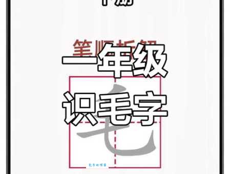 毛组词 解答毛组词有哪些与毛发的毛组词怎么组！