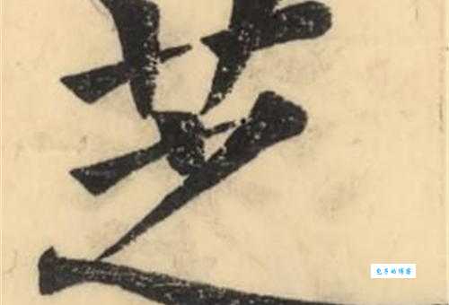 汉字“芝”的读音、意思、用法、释义、造句