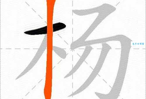 杨组词 解答杨组词有哪些与杨柳的杨组词怎么组！