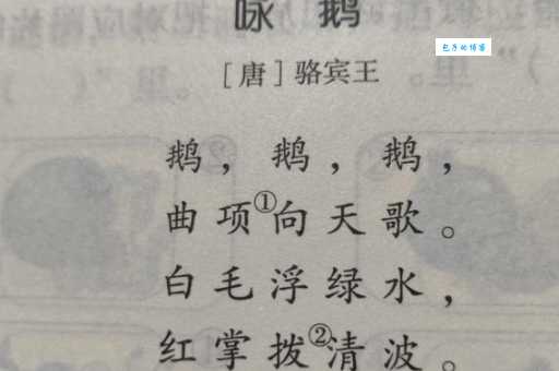 鹅组词_鹅字组词