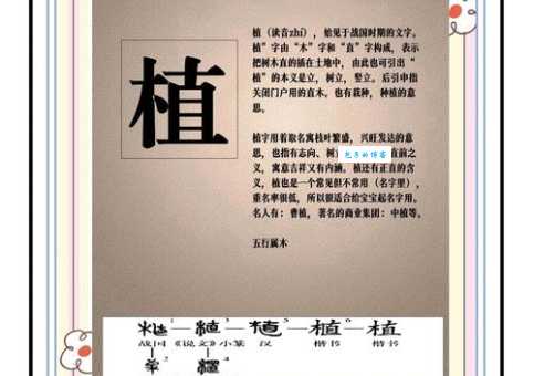 植是什么意思