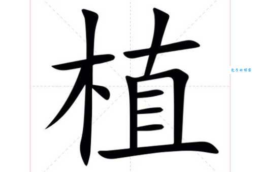 植是什么意思