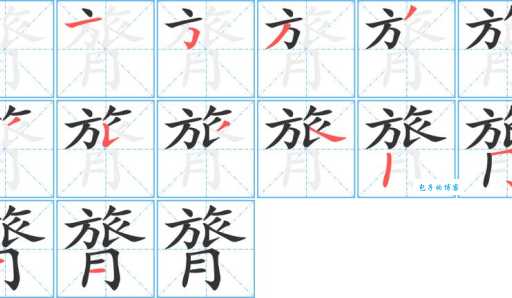 鹡怎么读？鹡的读音和意思