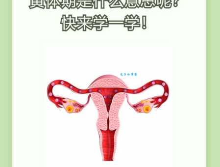 期是什么意思