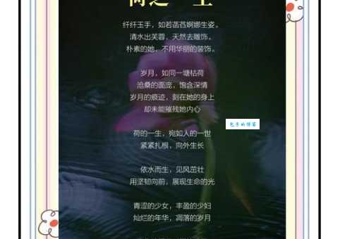 荷是什么意思