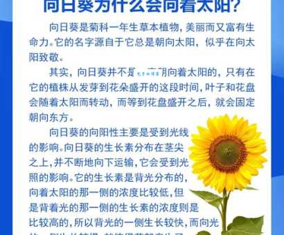 向日葵为什么会随着太阳转动？真相可能会与大家想的相反