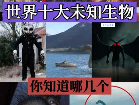 怪是什么意思