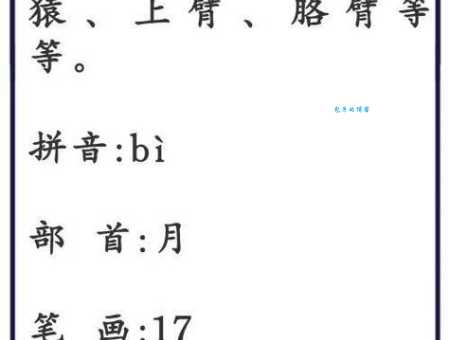 臂组词_臂字组词