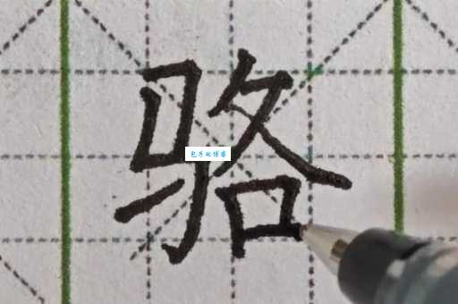汉字“骆”的读音、意思、用法、释义、造句