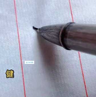 健组词_健字组词
