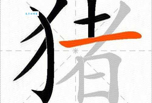 猪组词_猪字组词