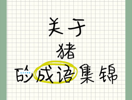 猪组词_猪字组词
