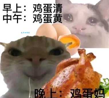 模因meme是什么意思？你知道“模因”这个词是由谁最先提出的吗？