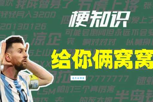 给是什么意思
