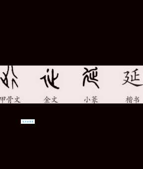 延是什么意思