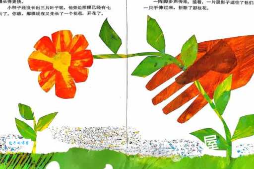 儿童生命教育绘本故事《小种子》