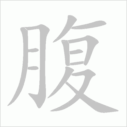 肚的多音字组词信息