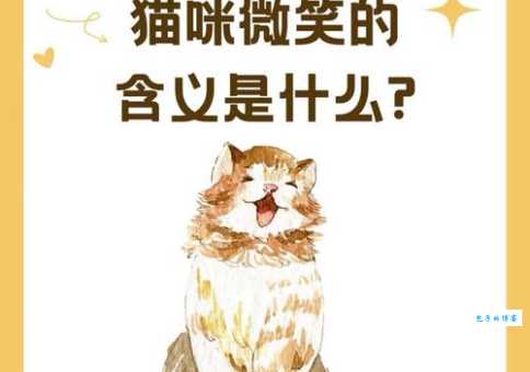 儿童绘本故事《微笑的猫》