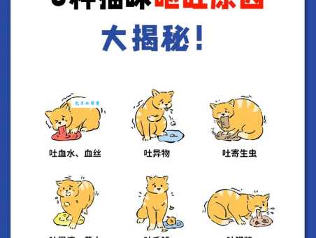 吐是什么意思