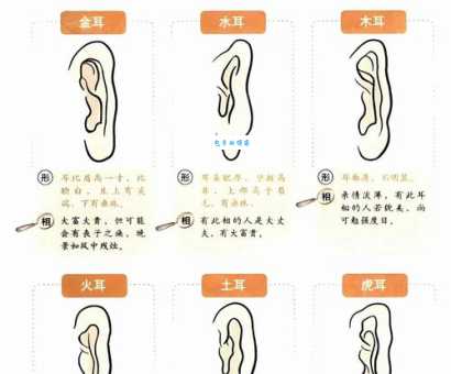 耳是什么意思