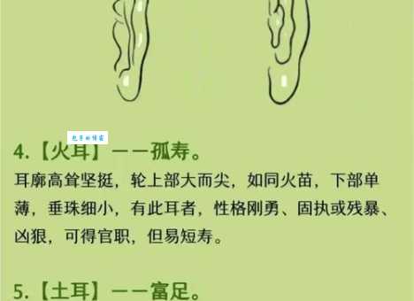 耳是什么意思