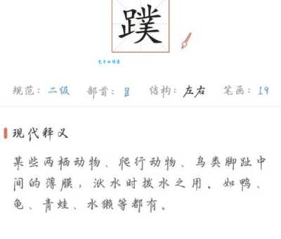 趾组词_趾字组词