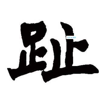 趾组词_趾字组词