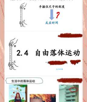 物理小实验：哪个先落地【自由落体运动实验】