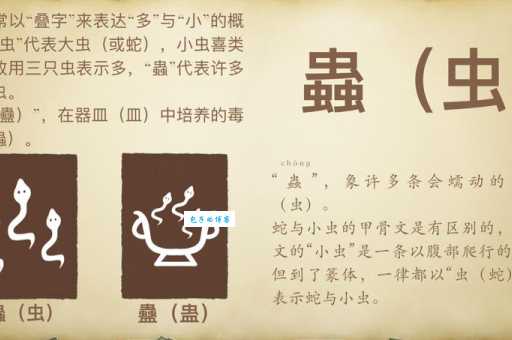 虫组词 解答虫组词有哪些与蚜虫的虫组词怎么组！