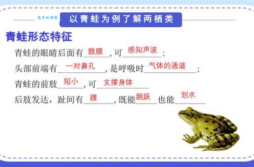 青蛙靠什么呼吸？