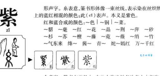 紫是什么意思
