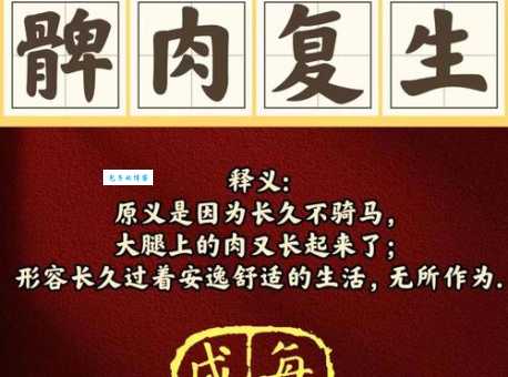 「成语故事」髀肉复生