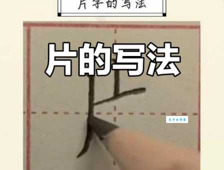 片组词 解答片组词有哪些与片的笔顺怎么写！