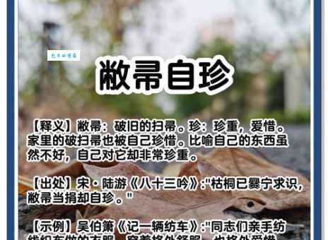 帚组词_帚字组词