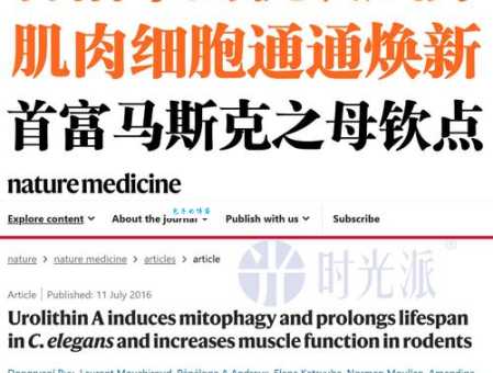 adversely是什么意思_adversely的中文翻译