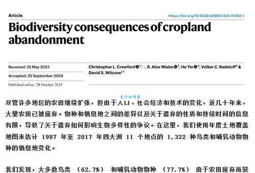abandonment是什么意思？abandonment怎么读？abandonment例句及用法
