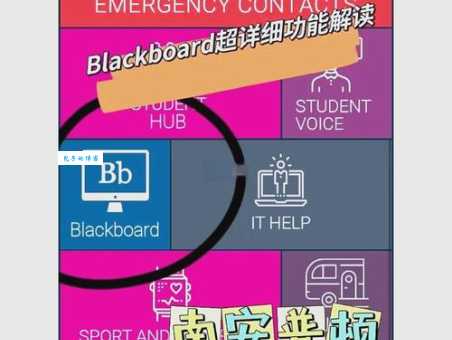 blackboard是什么意思？blackboard怎么读？blackboard例句及用法