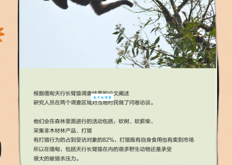 猿臂之势的意思解释、造句、出处典故、成语接龙