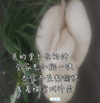 一个萝卜一个坑